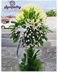 Ivory Eminence Sympathy Flowers